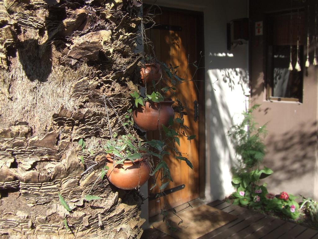 Hosteria Pascana 圣萨尔瓦多德朱 外观 照片