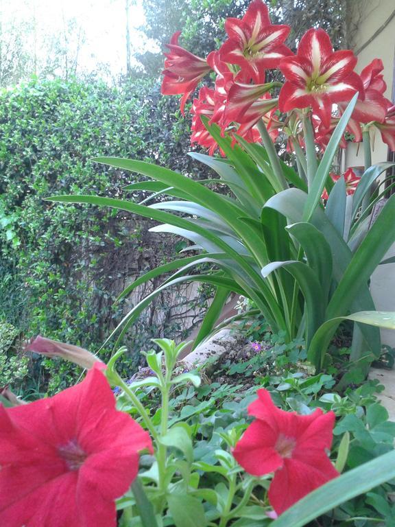 Hosteria Pascana 圣萨尔瓦多德朱 外观 照片