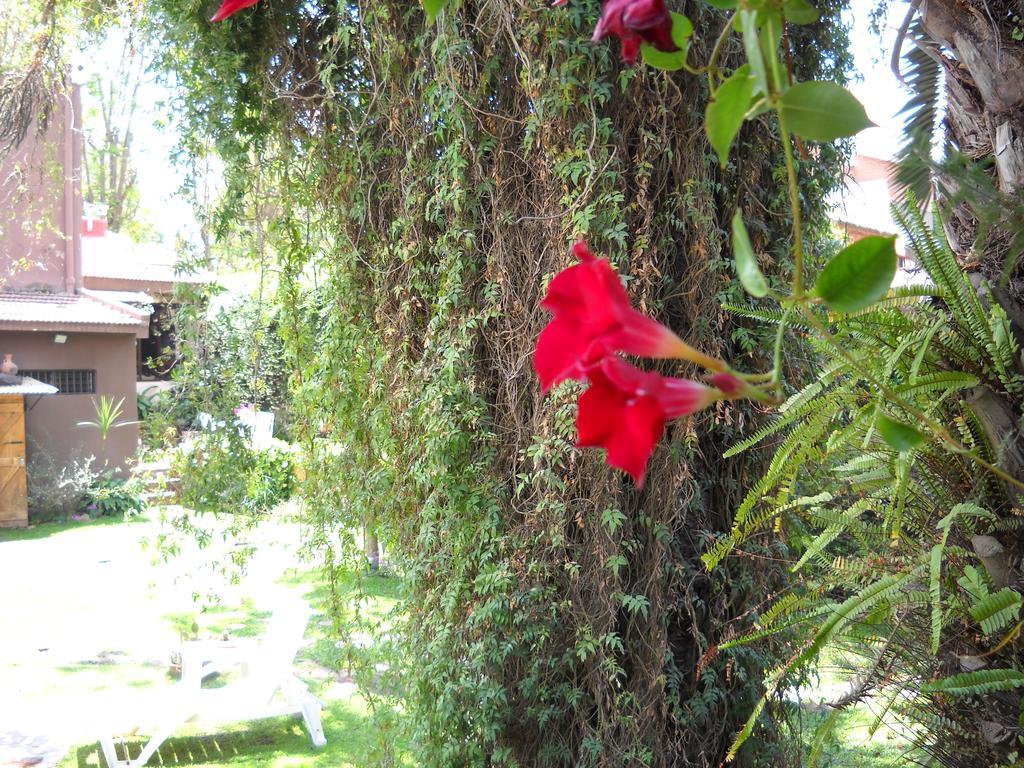 Hosteria Pascana 圣萨尔瓦多德朱 外观 照片