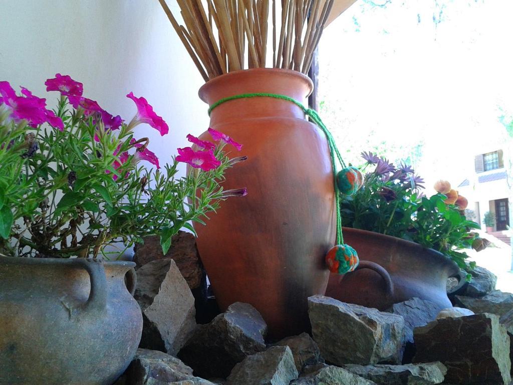 Hosteria Pascana 圣萨尔瓦多德朱 外观 照片